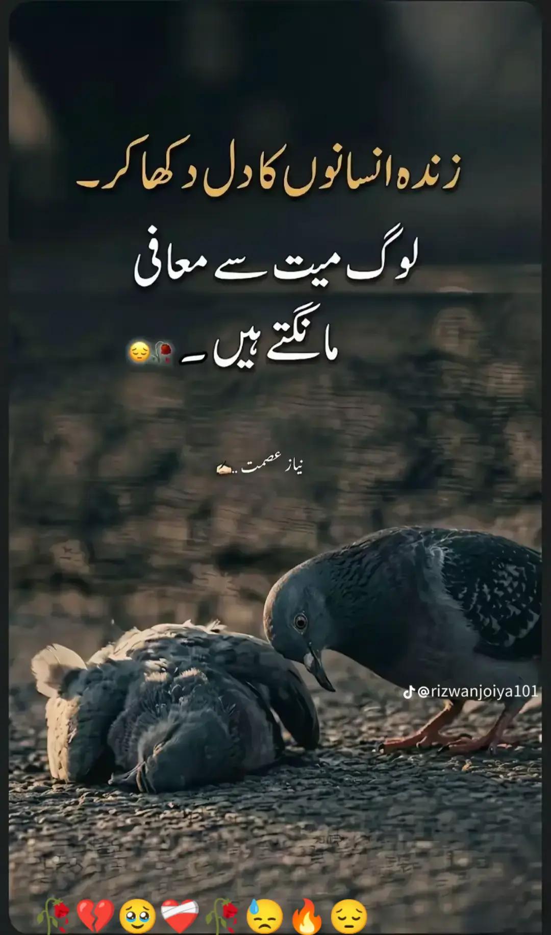 @sufiyan