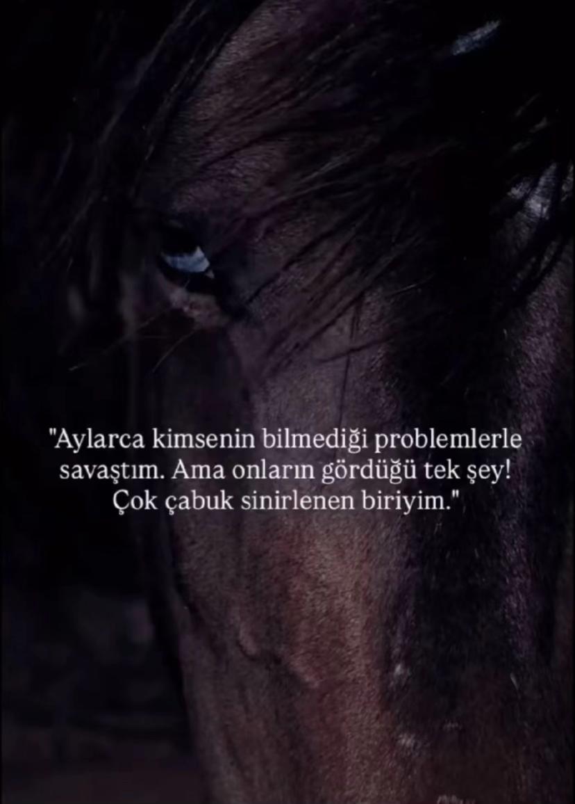 @<~~£F$O kalkan~~>
