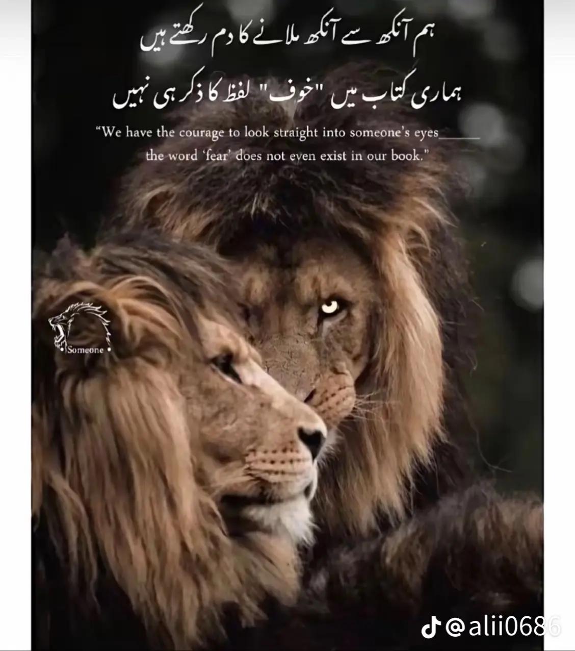 @𝑼𝒔𝑴𝒂𝑵 baig✨