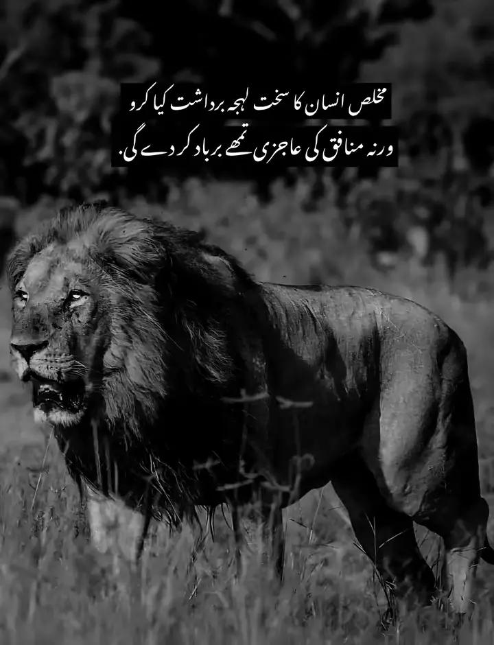 @Faizan ALi ✌️
