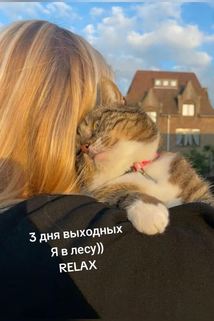 @LAVchik