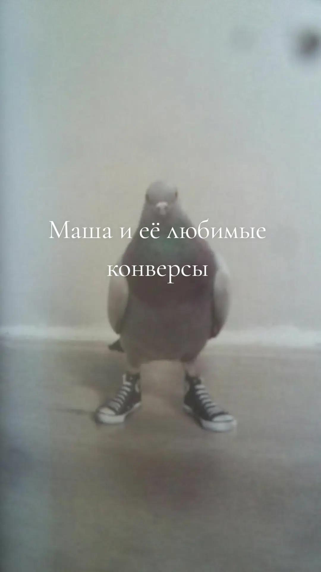 @Дочь Гектора✩