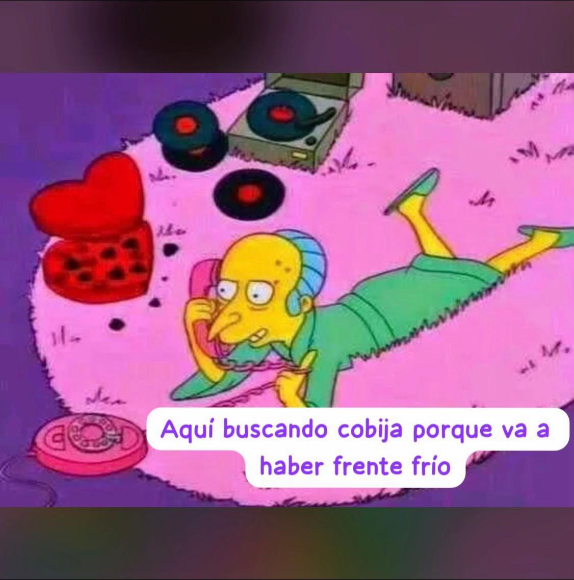 @Shala Múgica