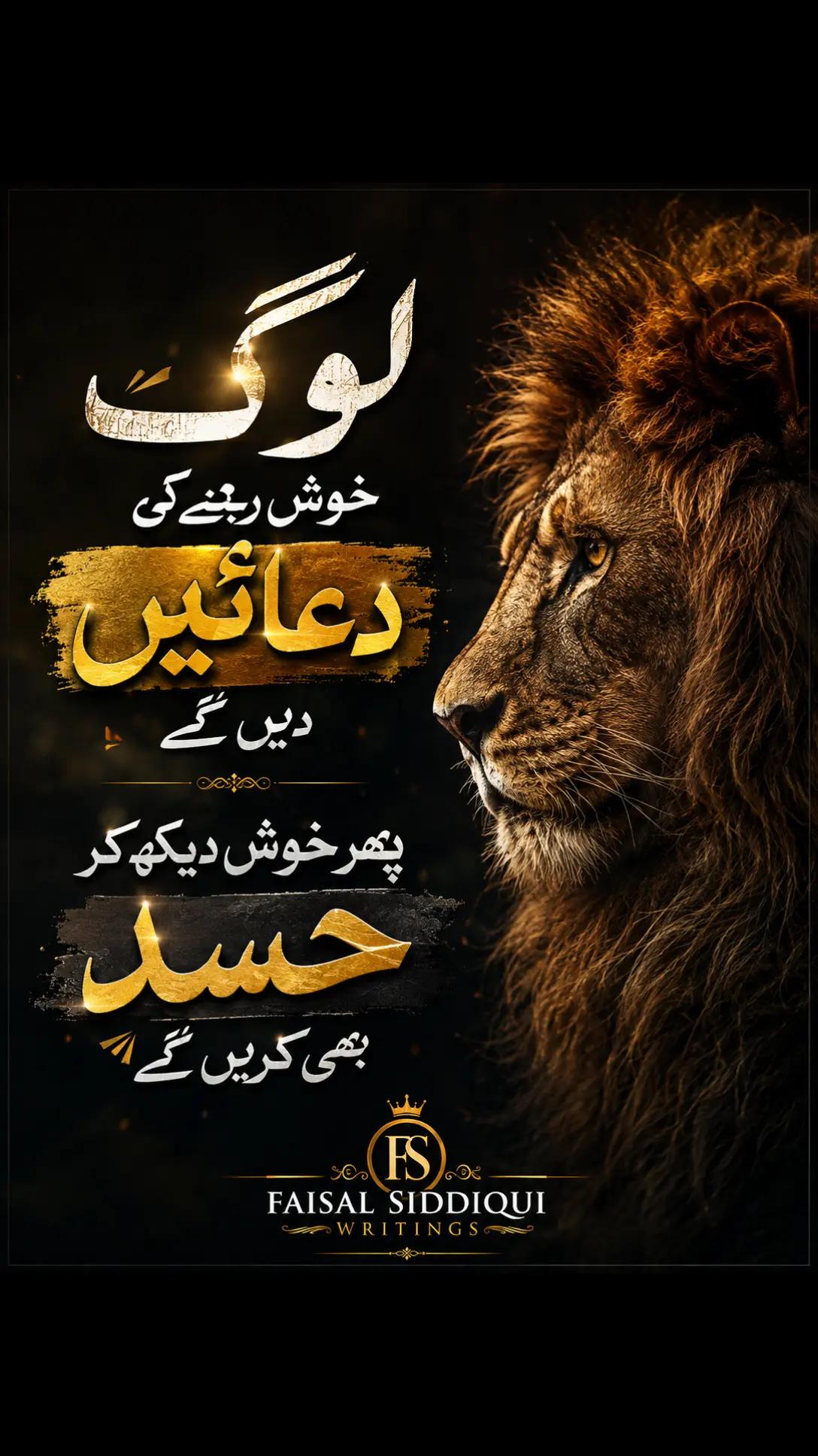 @faisal.siddqui125