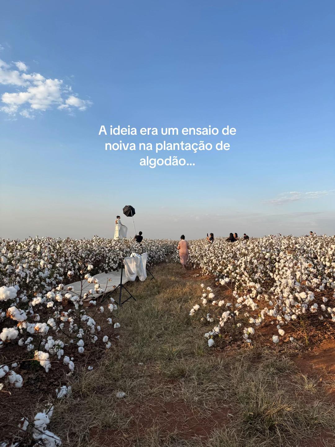 @Brunna Pivotto