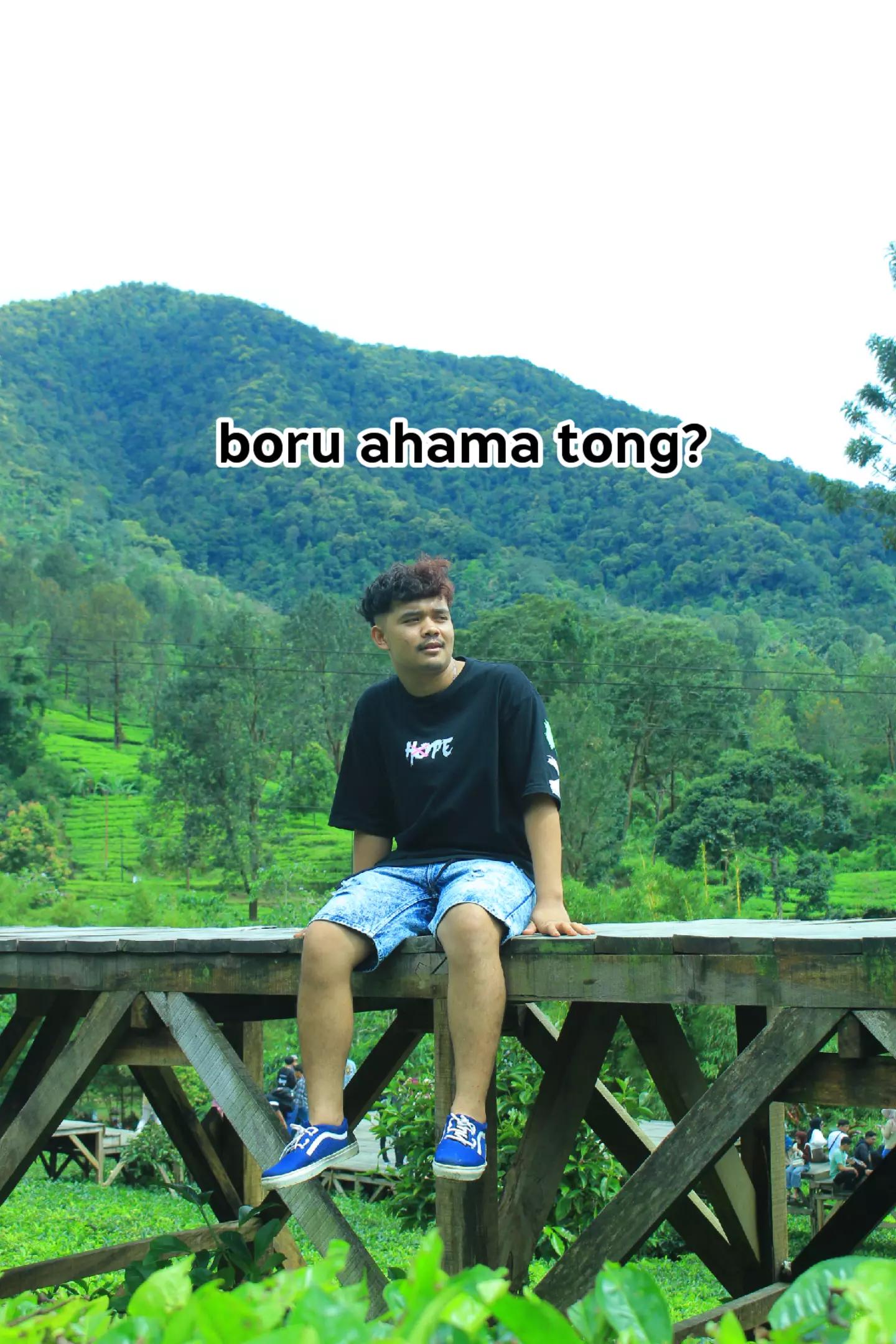 @amang borumudon maen🤪