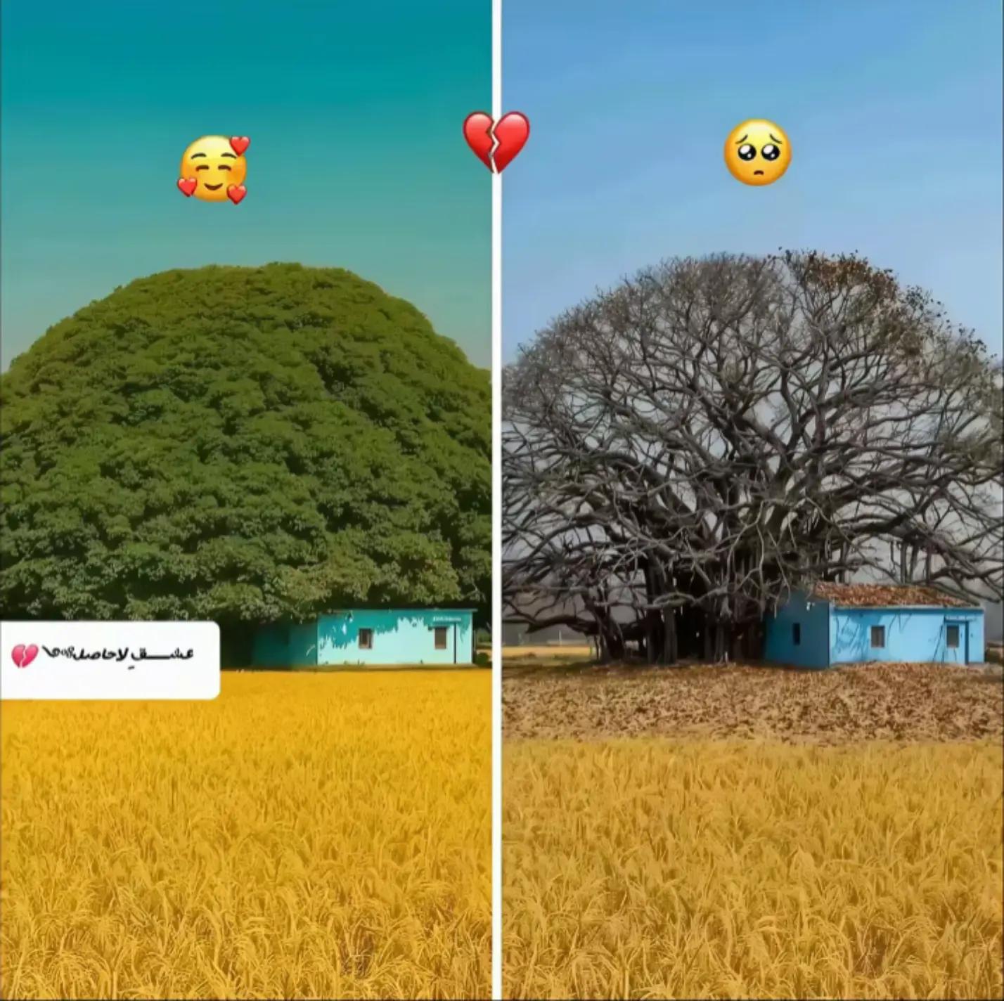 @𝙗𝙖ب𝙪_جلایا😬