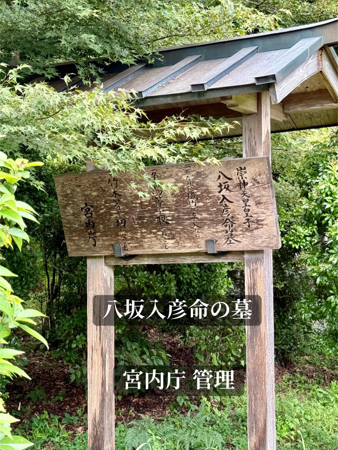 @kenji
