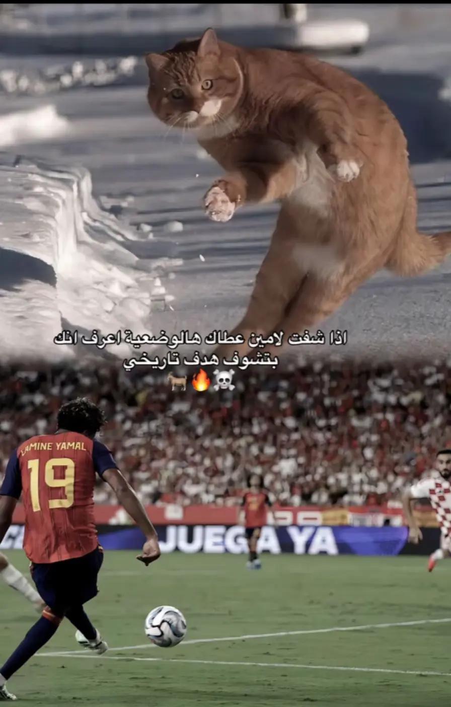 @حہٰسہٰونيٰ //لَأّﺰ 🇮🇶🧃