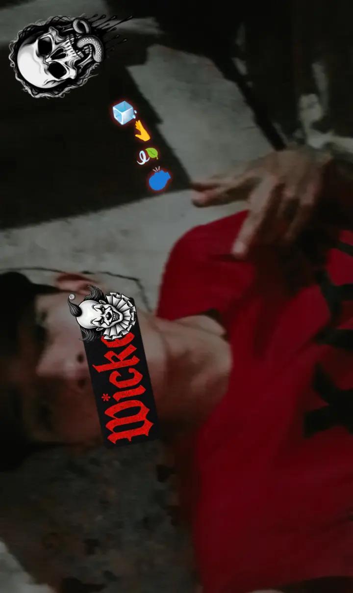@合 ┋Ángel 666