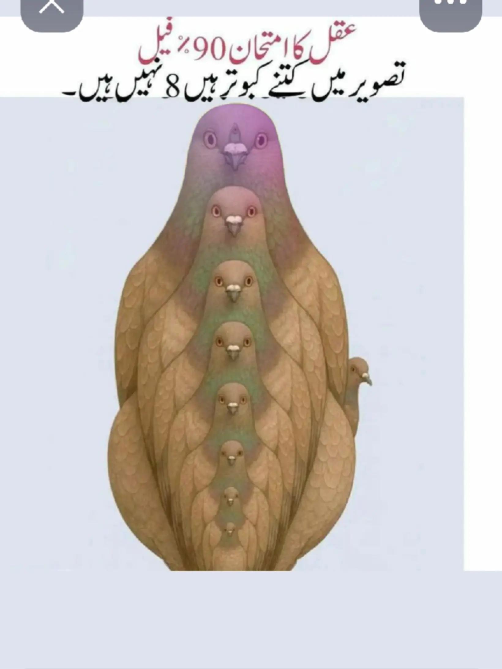 @میاں صاحب ❤️❤️