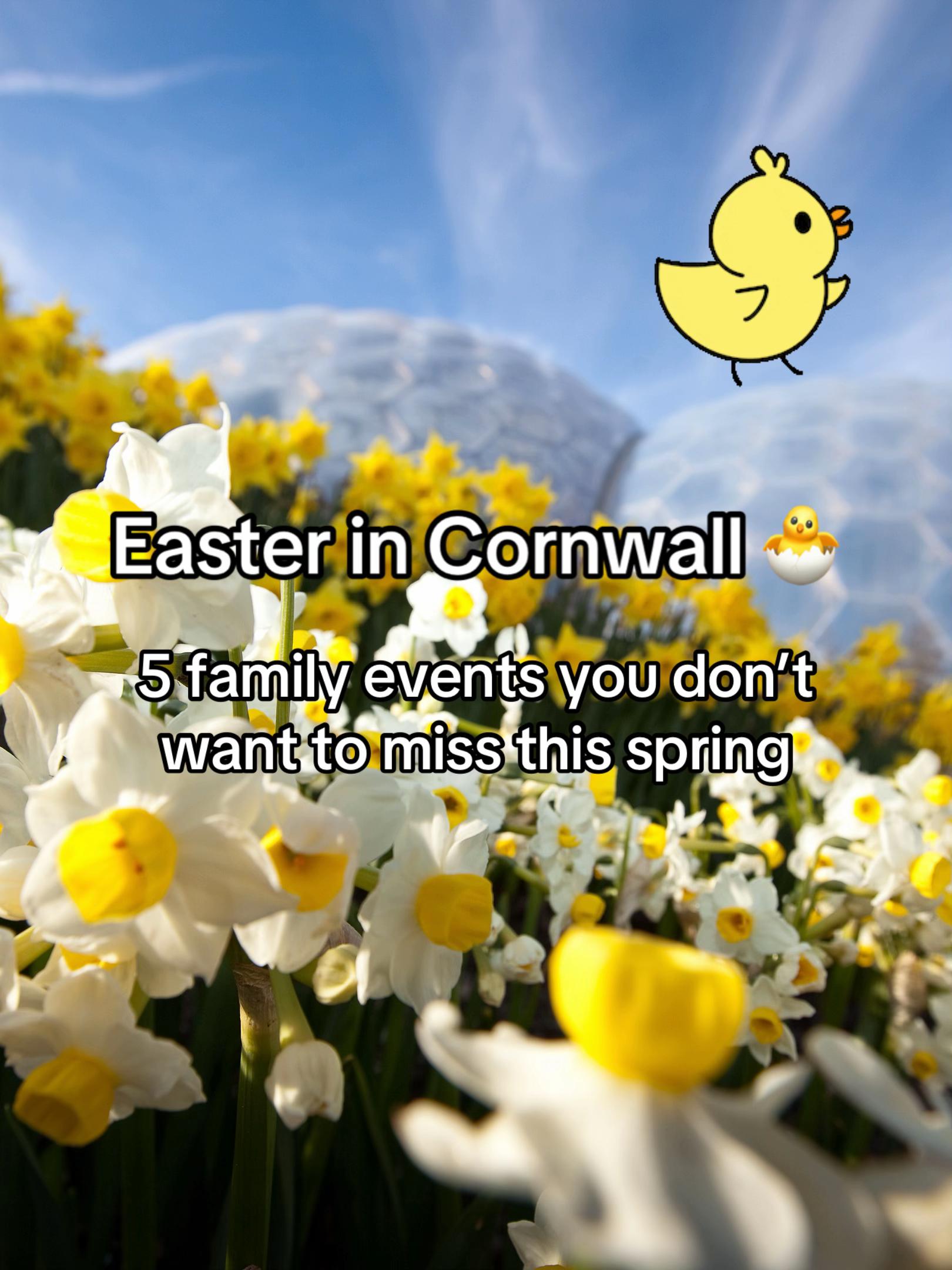 @Cornish Secrets
