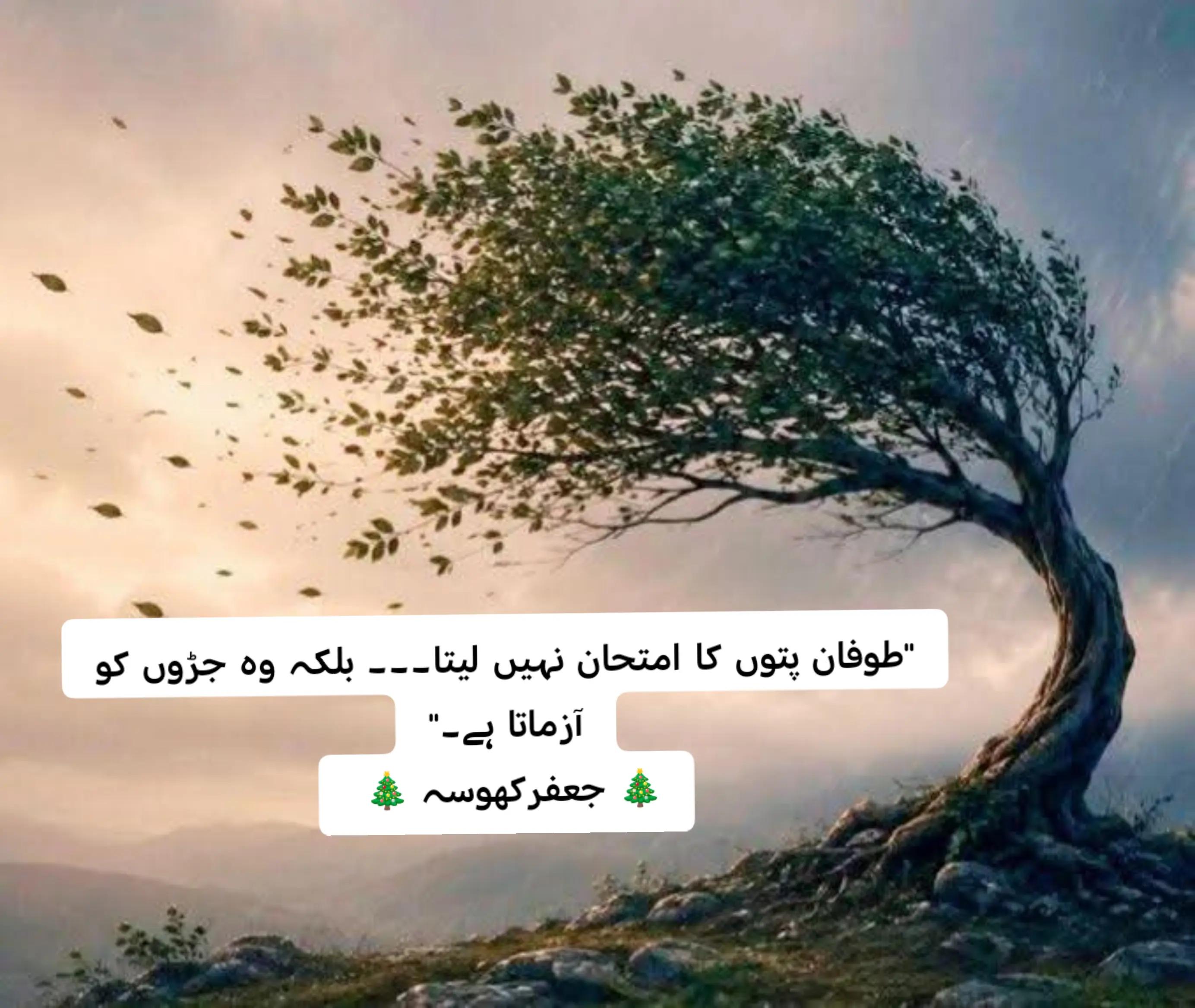 @jafar khosa baloch ✌👊