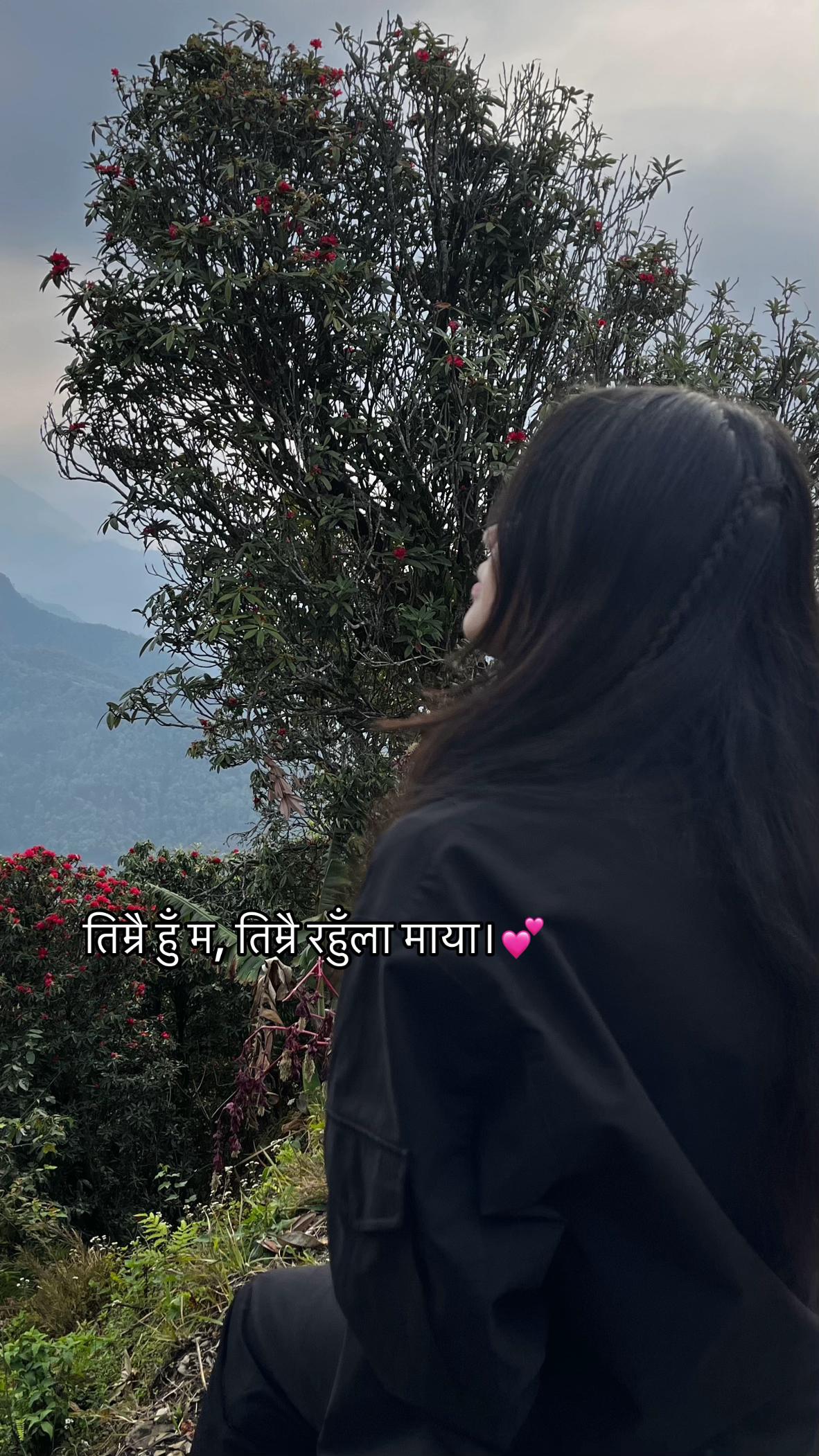 @P🌬️