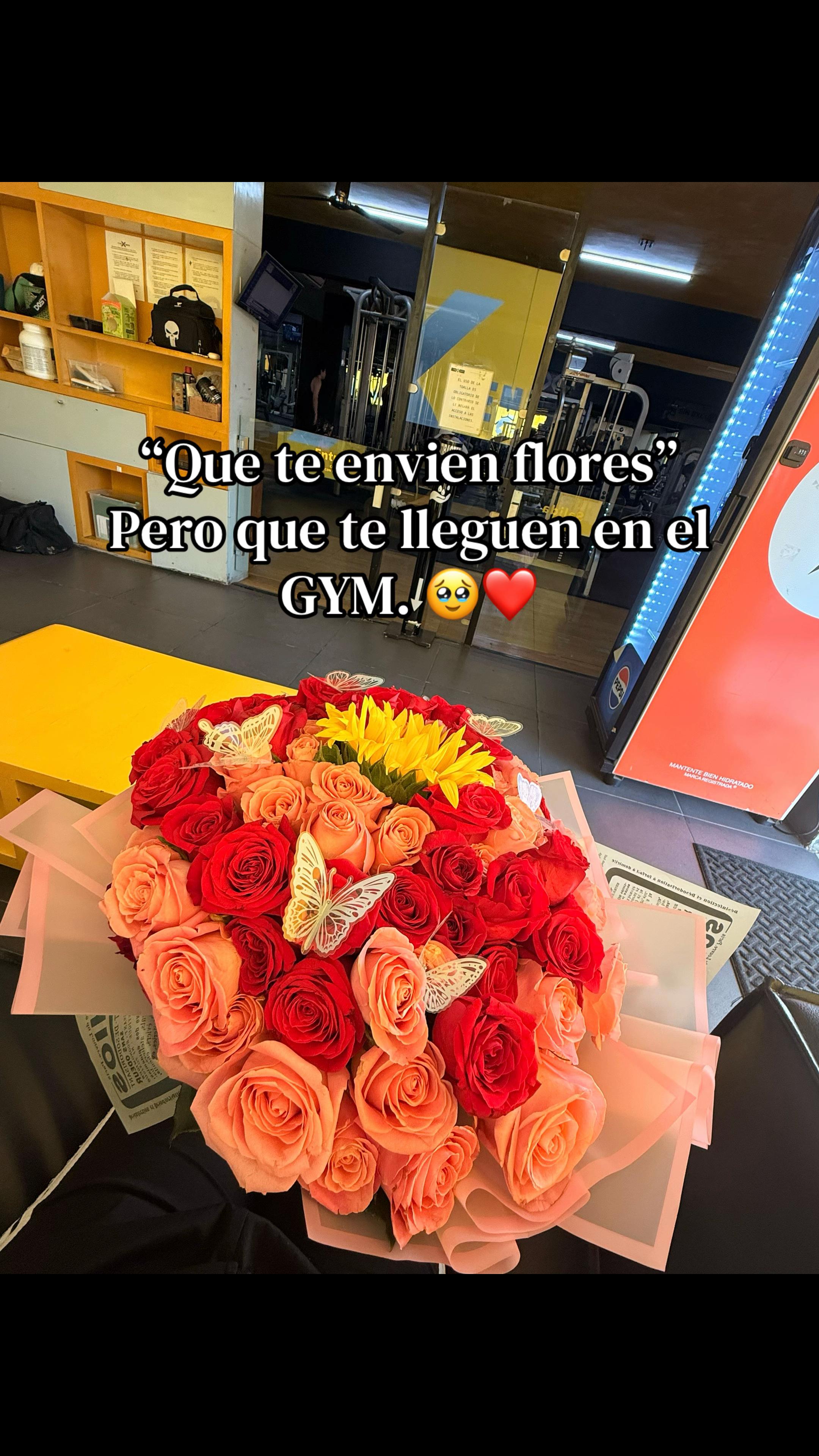 @maestra_dianaa