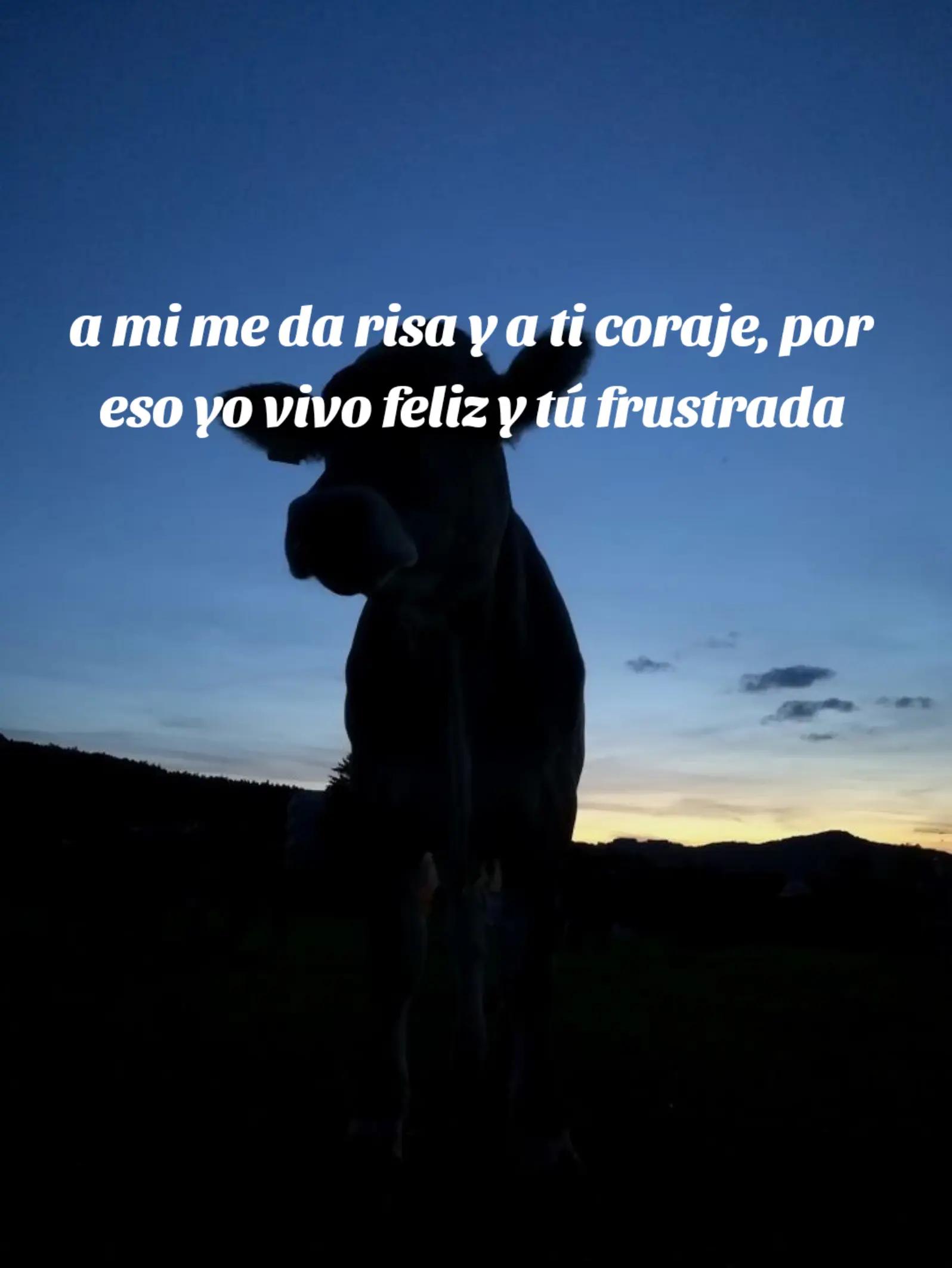 @Ruby__006