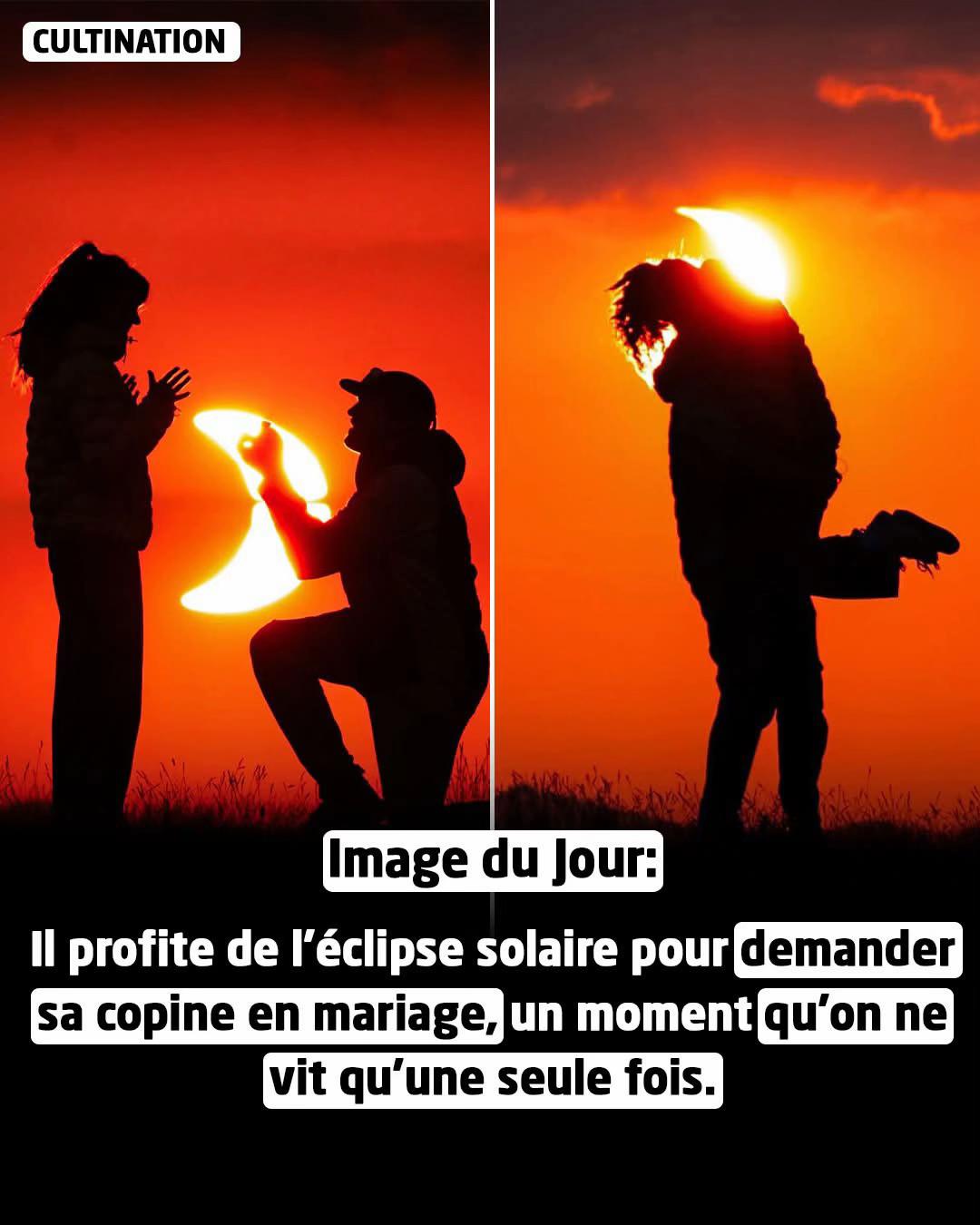 @cultination.officiel