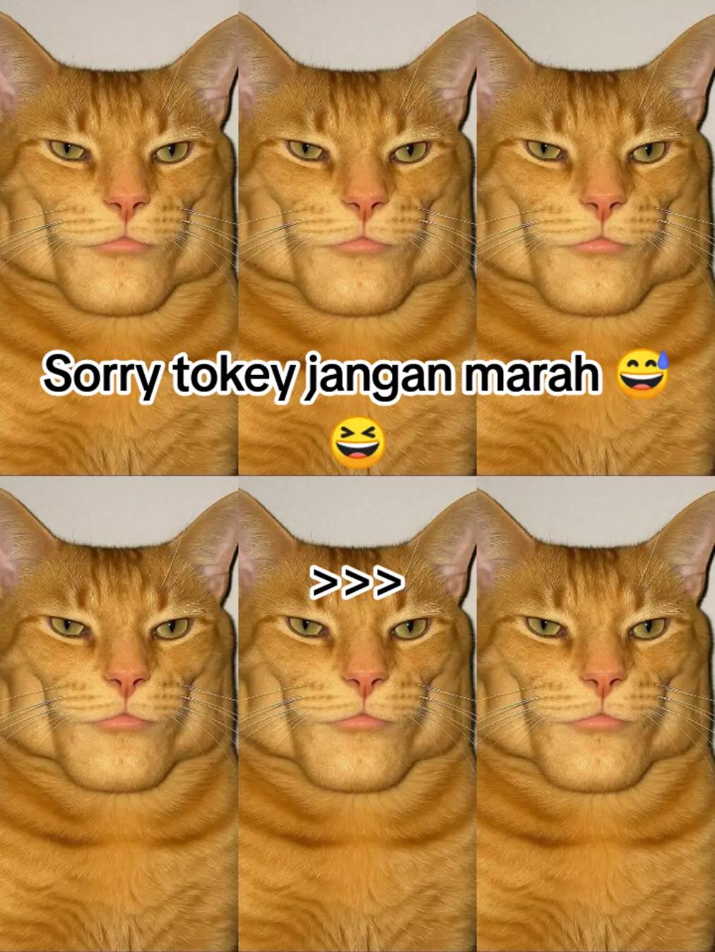 @HykalSazer01