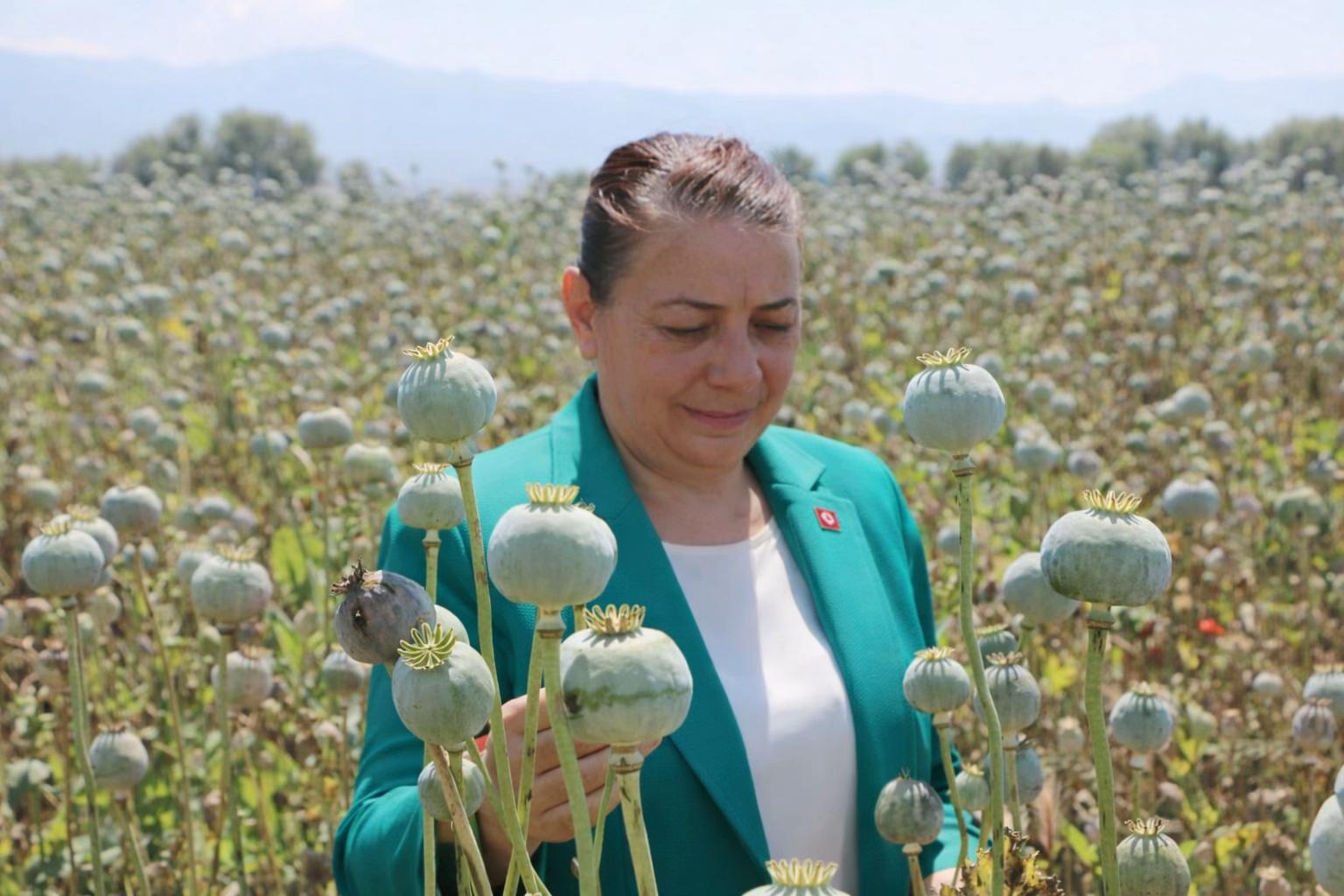 @Fatma Toptaş
