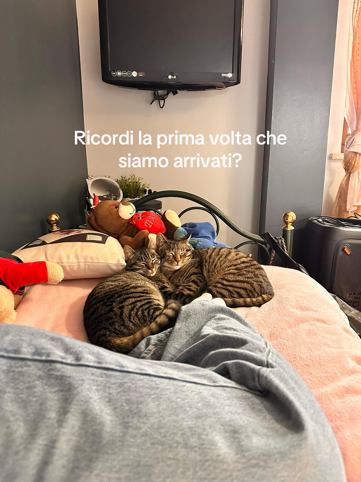 @Lavinia Moscioni