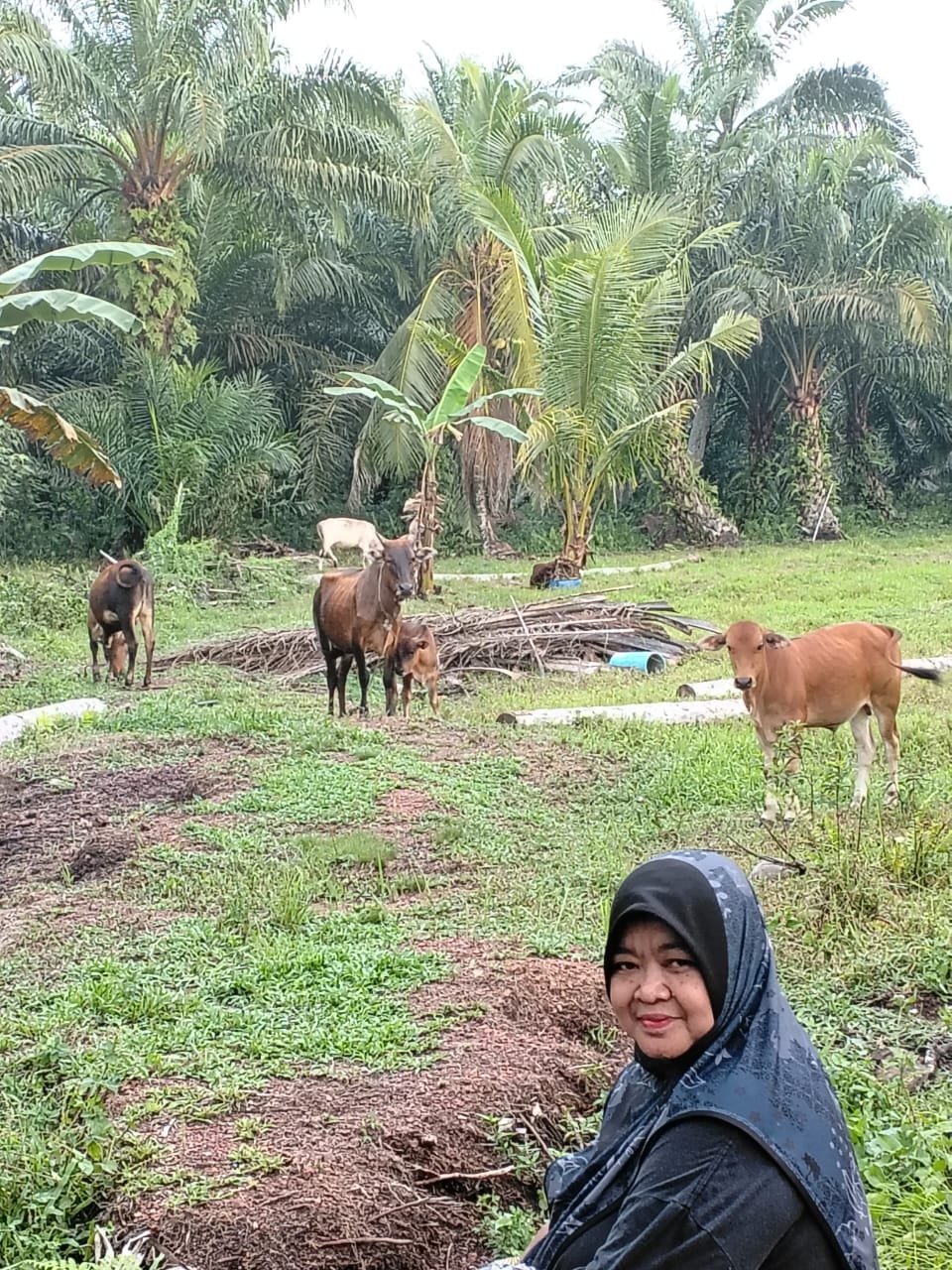 @Khairulnizam