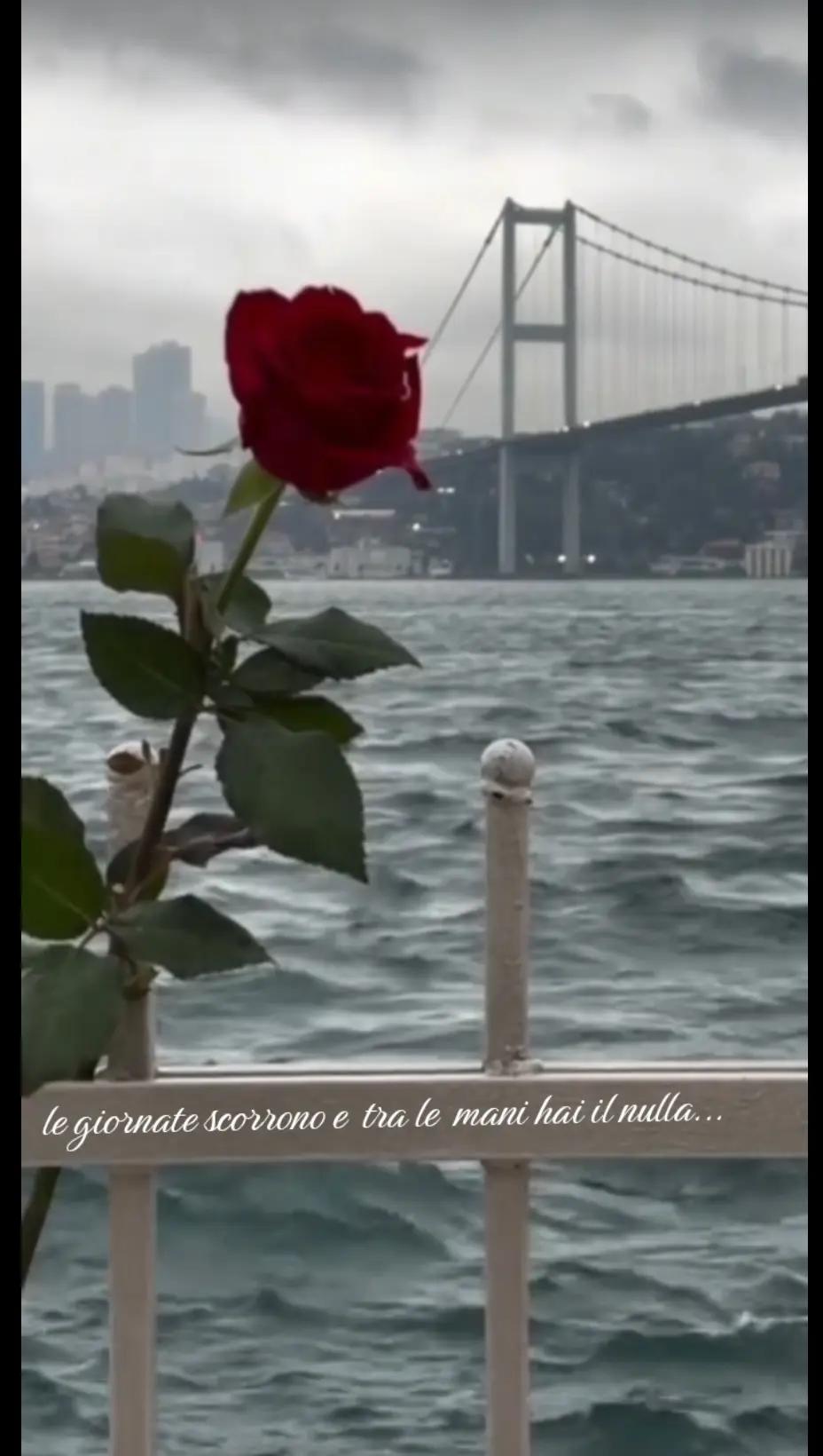 @iocisonosempre♥️