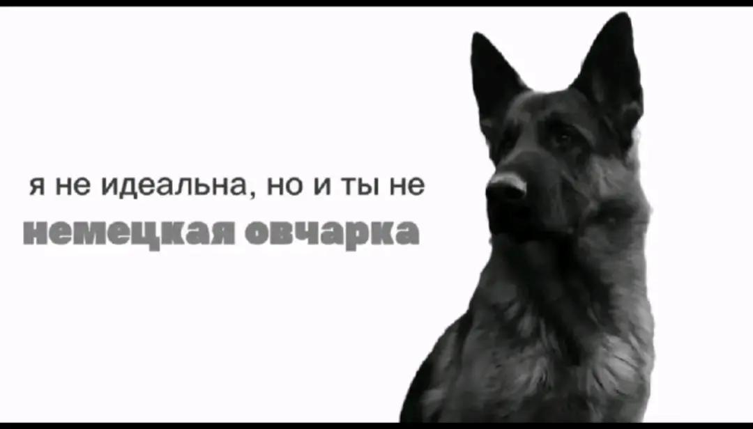 @𝐊𝐢𝐬𝐚𝐑𝐞𝐛𝐞𝐥★
