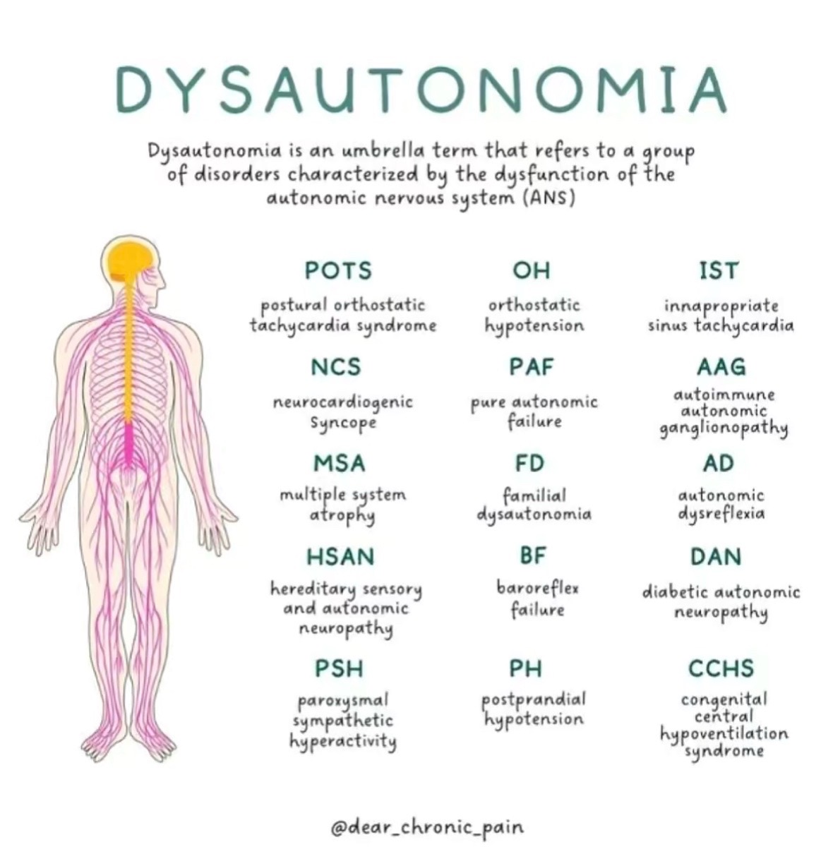 @hypermobilitydiaries