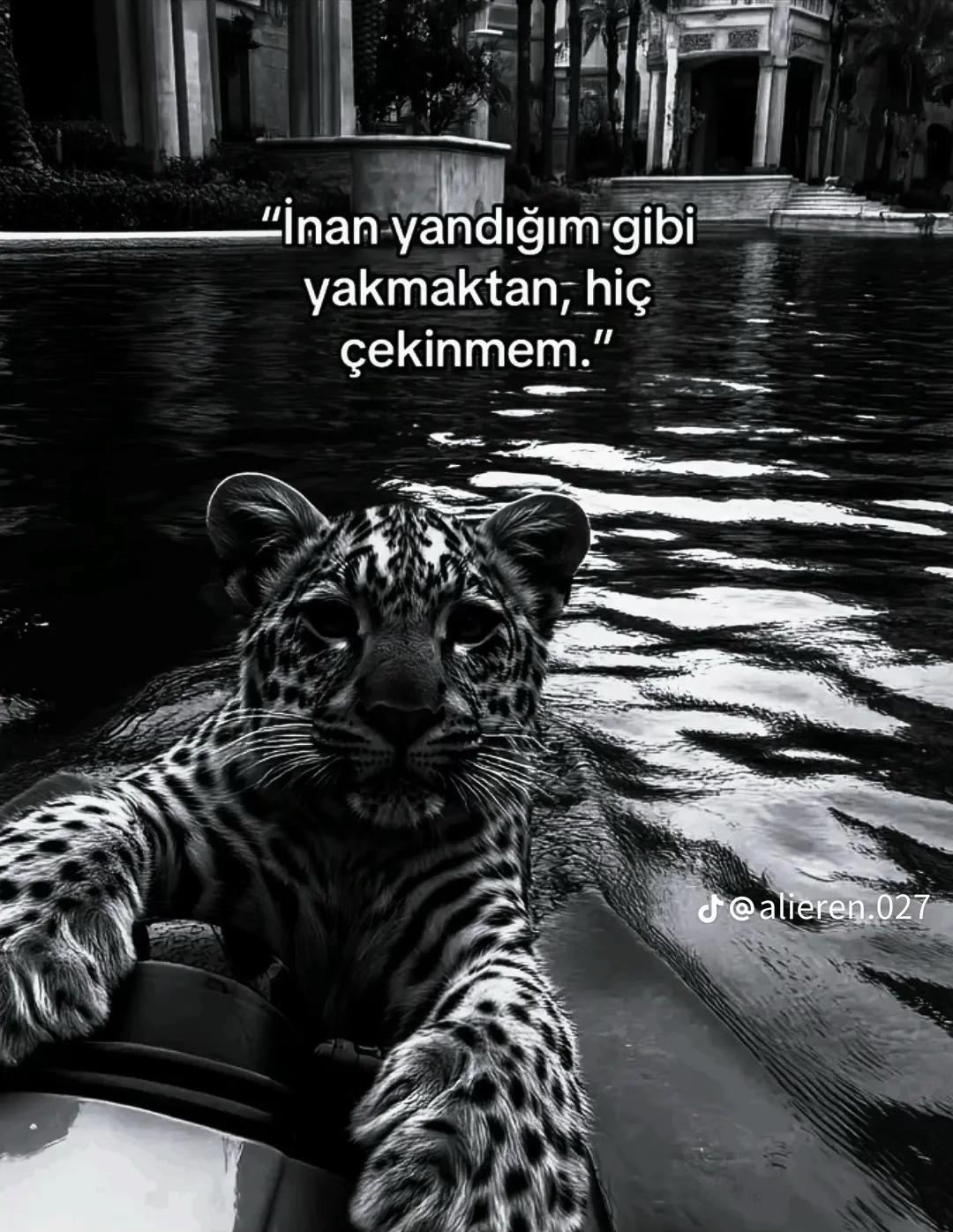 @Ebru 🦂