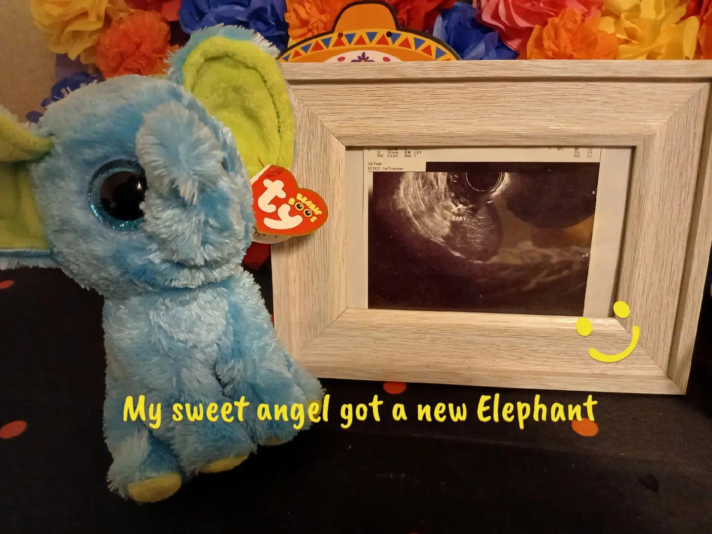 @🐘AmericaWar2224🐘
