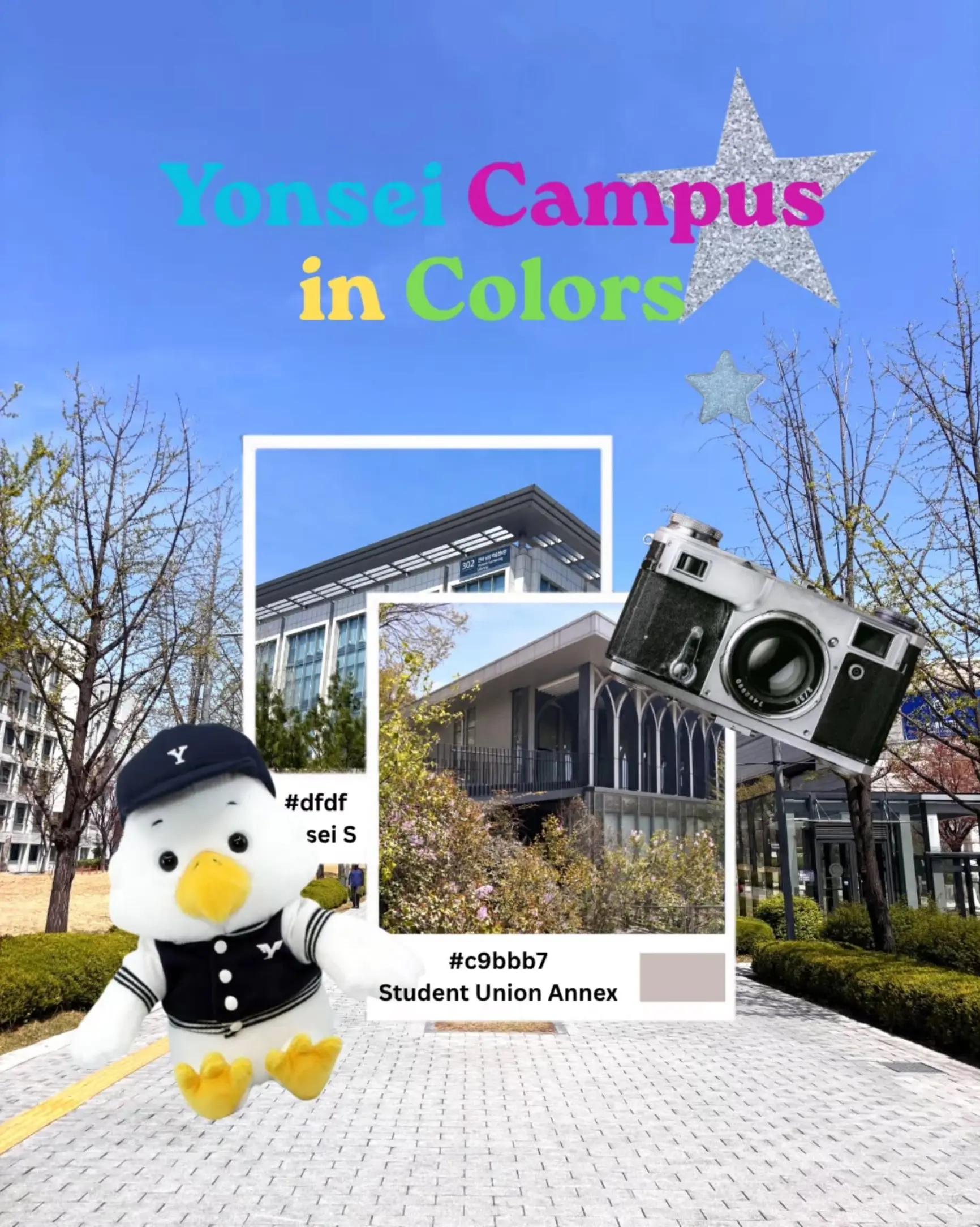 @🦅연세대학교🦅