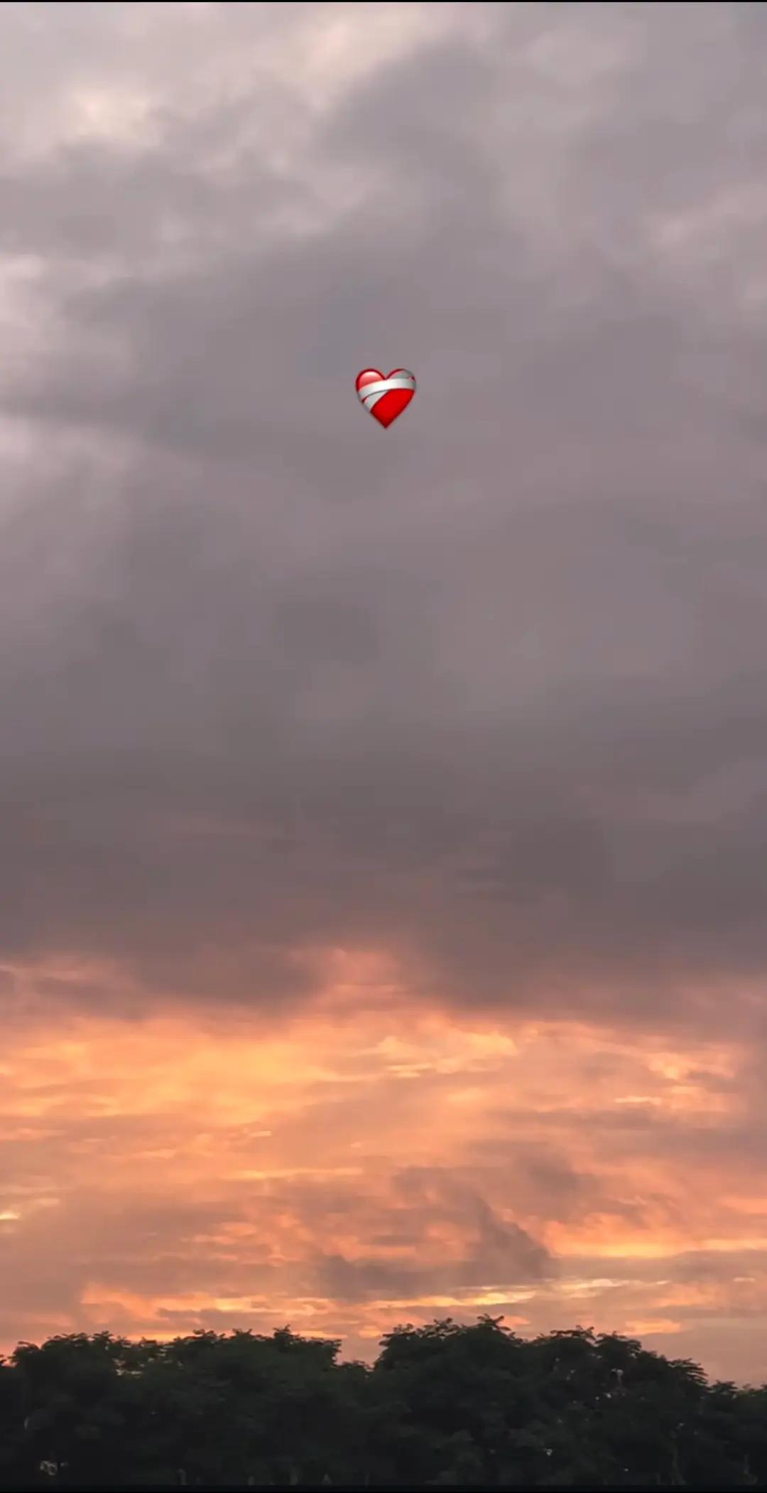 @ch 🕊