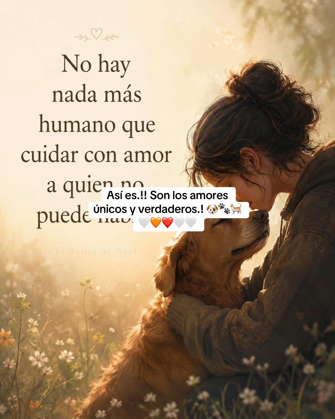 @Patricia Briceño