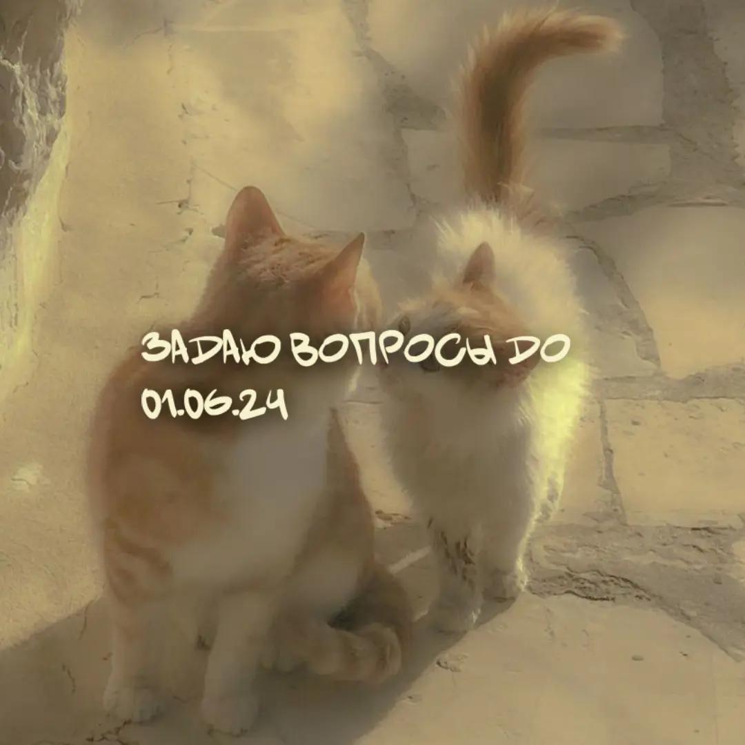 @Iskrow(!)