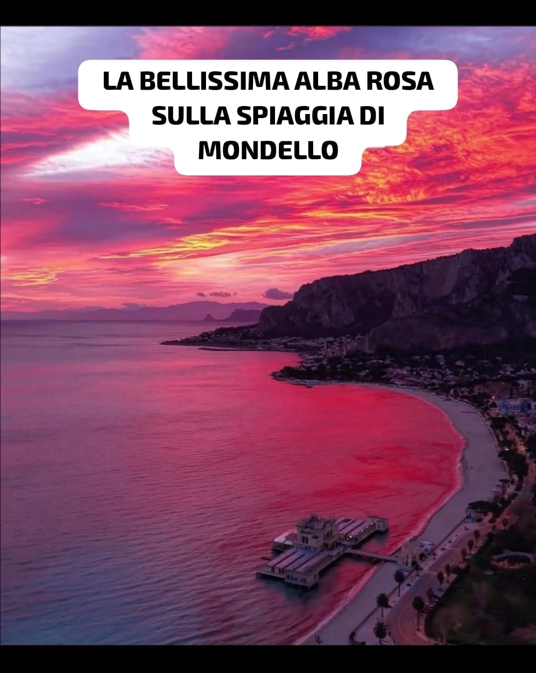 @Liliana Cavaliere