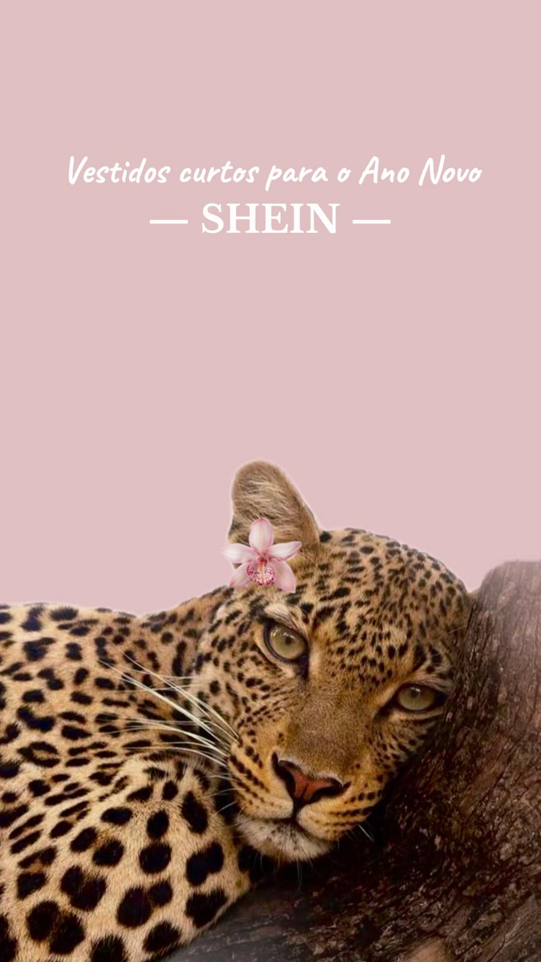@Looks Girls ✨