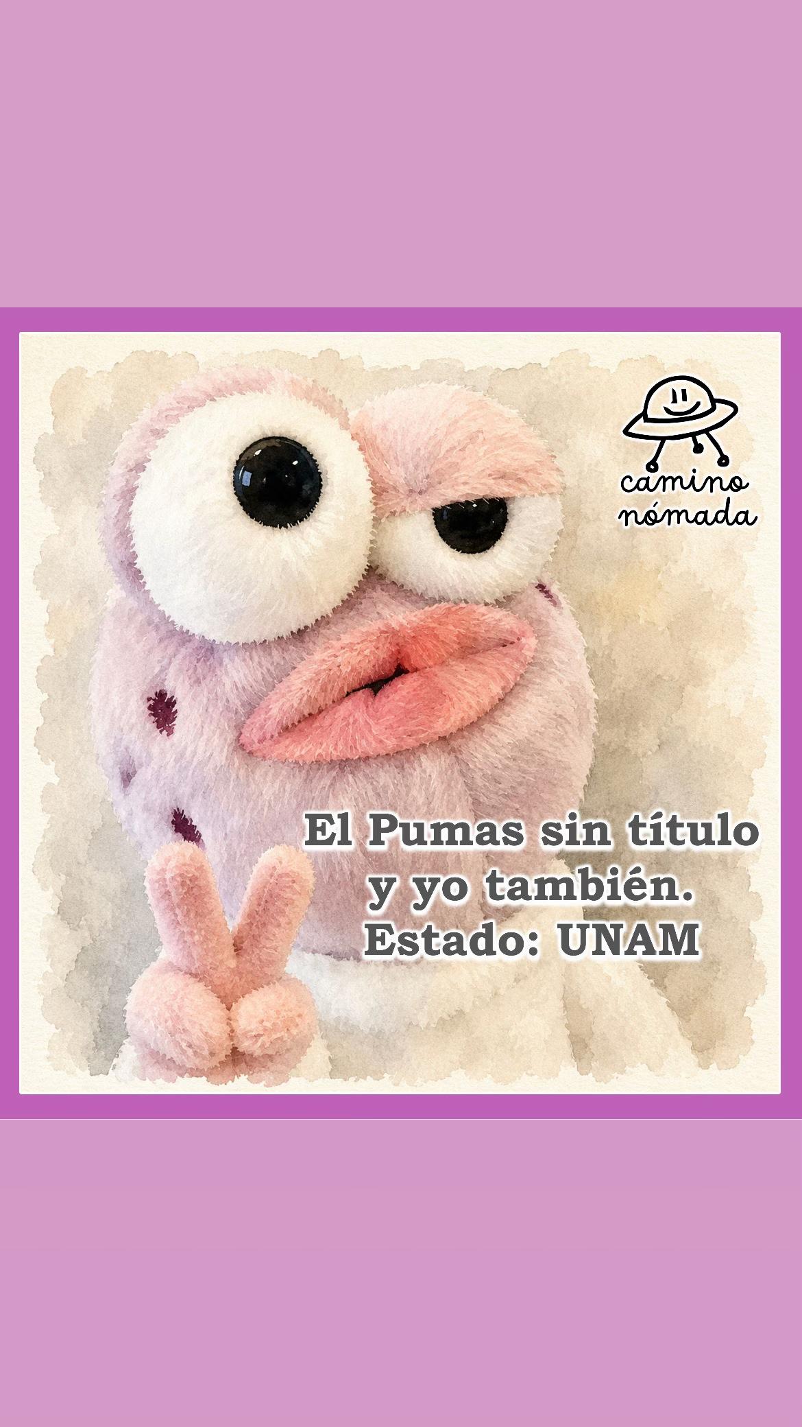 @Camino Nómada