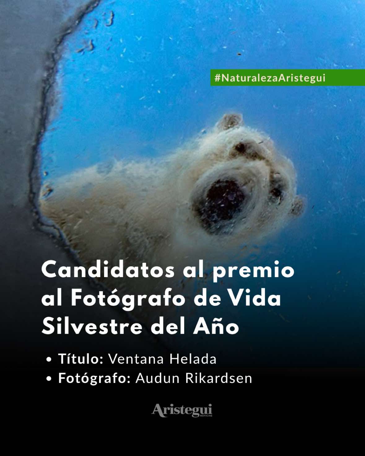 @Aristegui Noticias