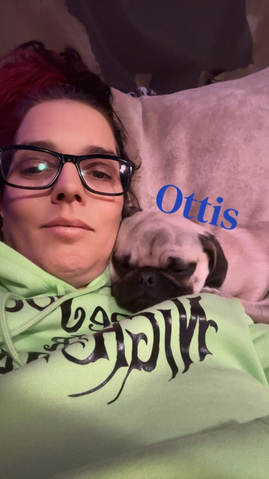 @odiespugfamily