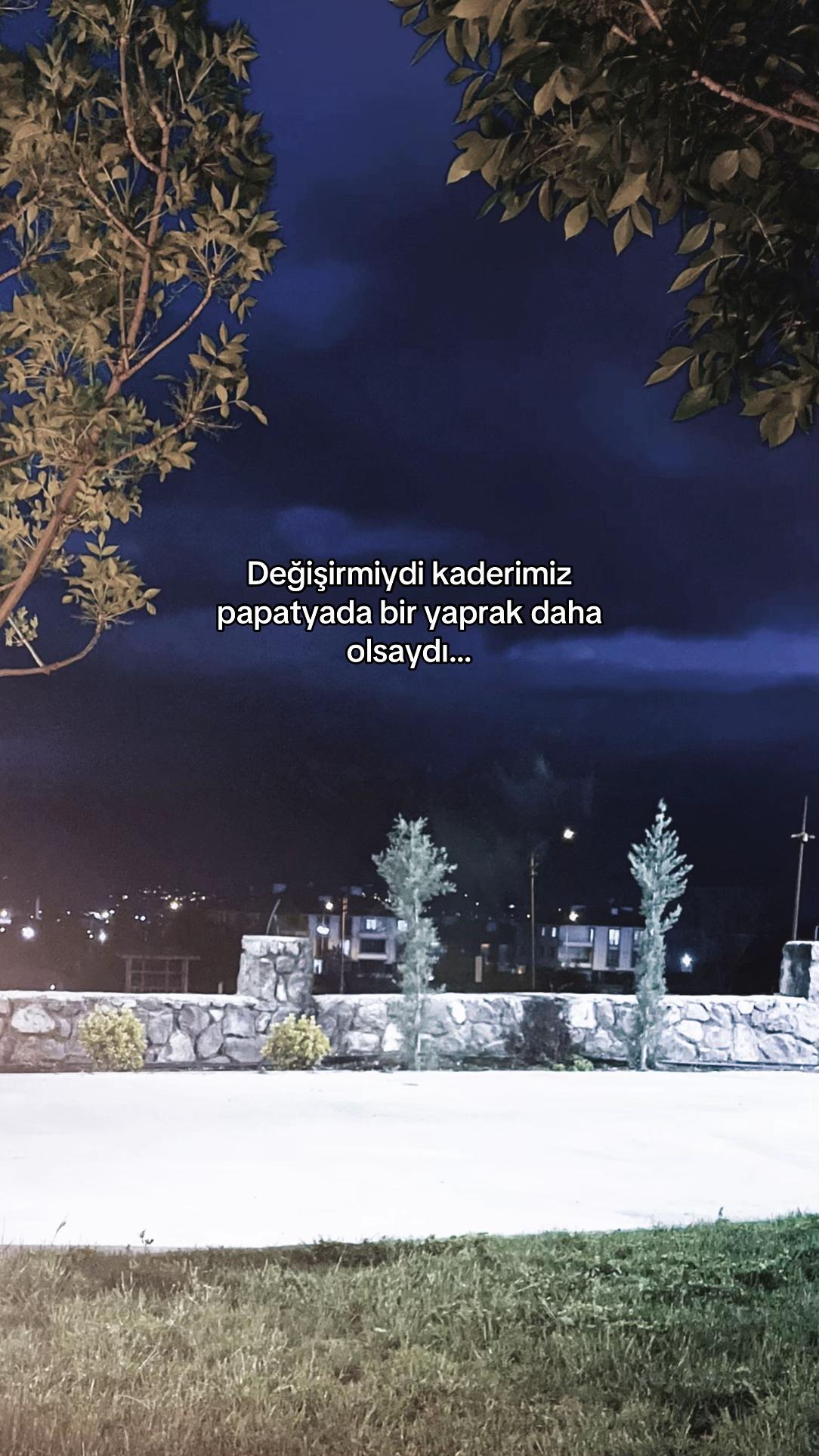 @seviyorgibiydin24