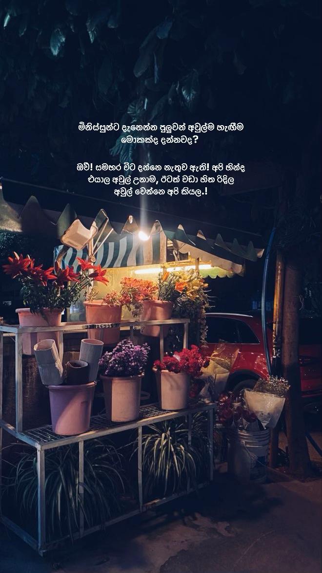 @ꇘ𝕙𝕖𝕨♡