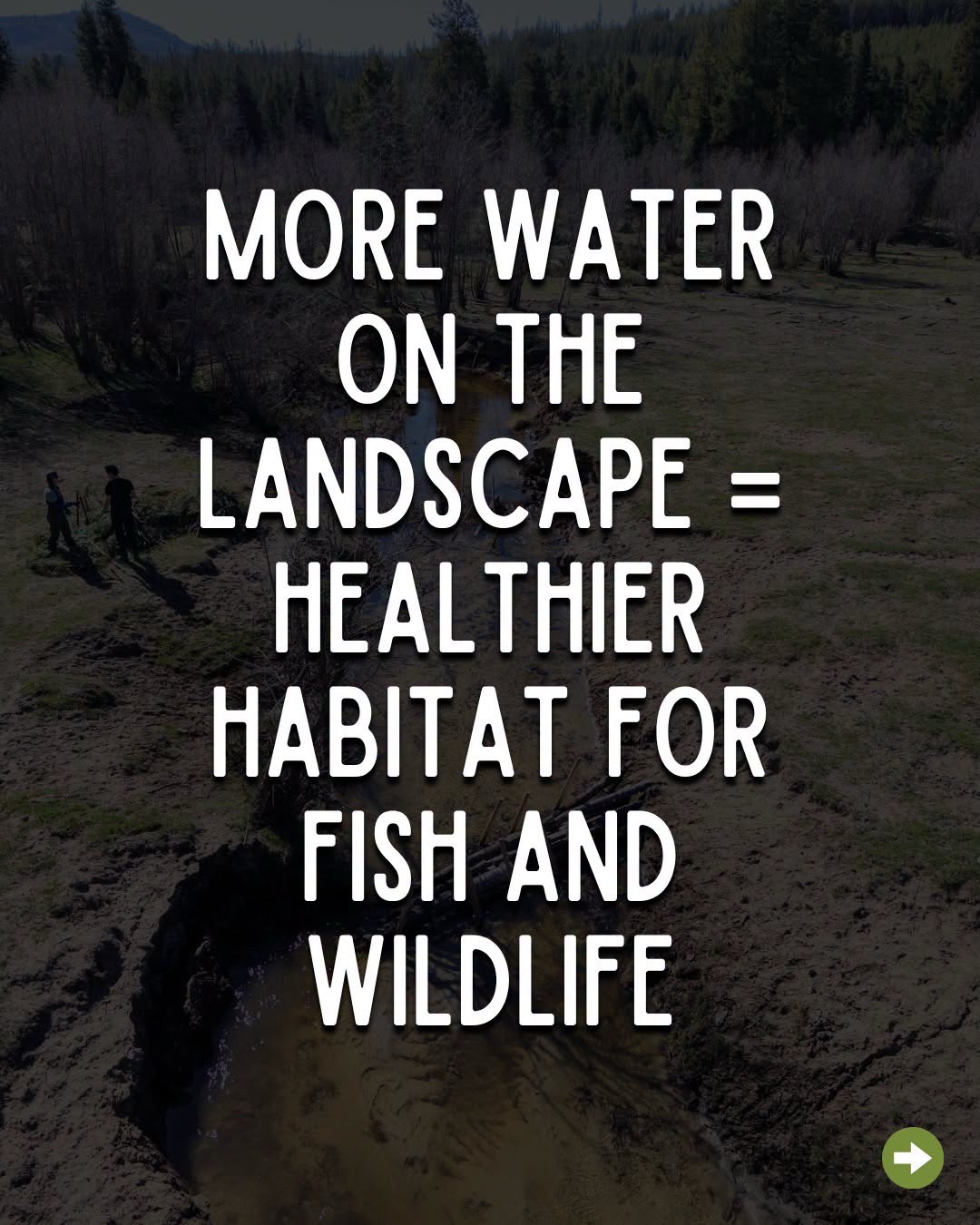 @B.C. Wildlife Federation