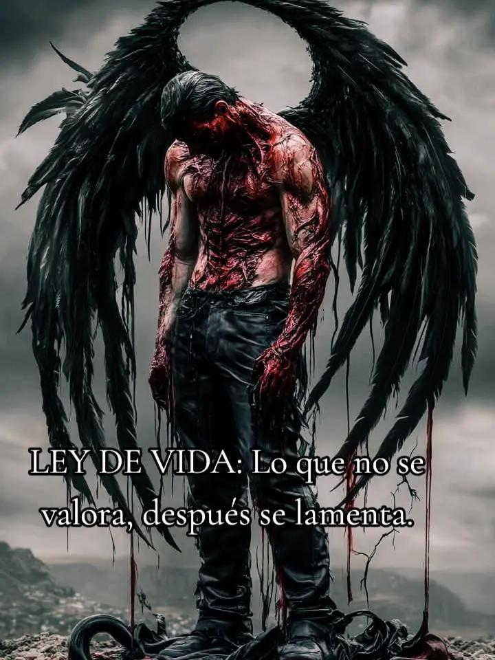 @Mariachy@619