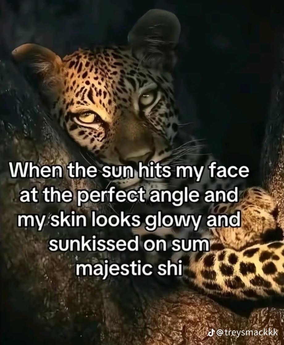 @lovelynii_
