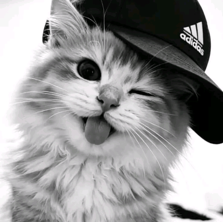 @Tokkumaa12n