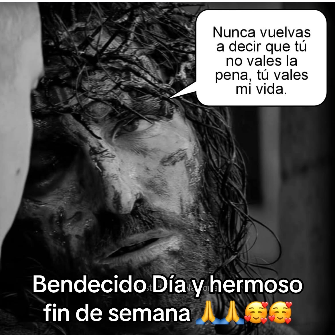 @Ana Celia🥰❤️
