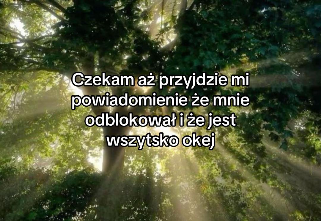 @honeyhaze