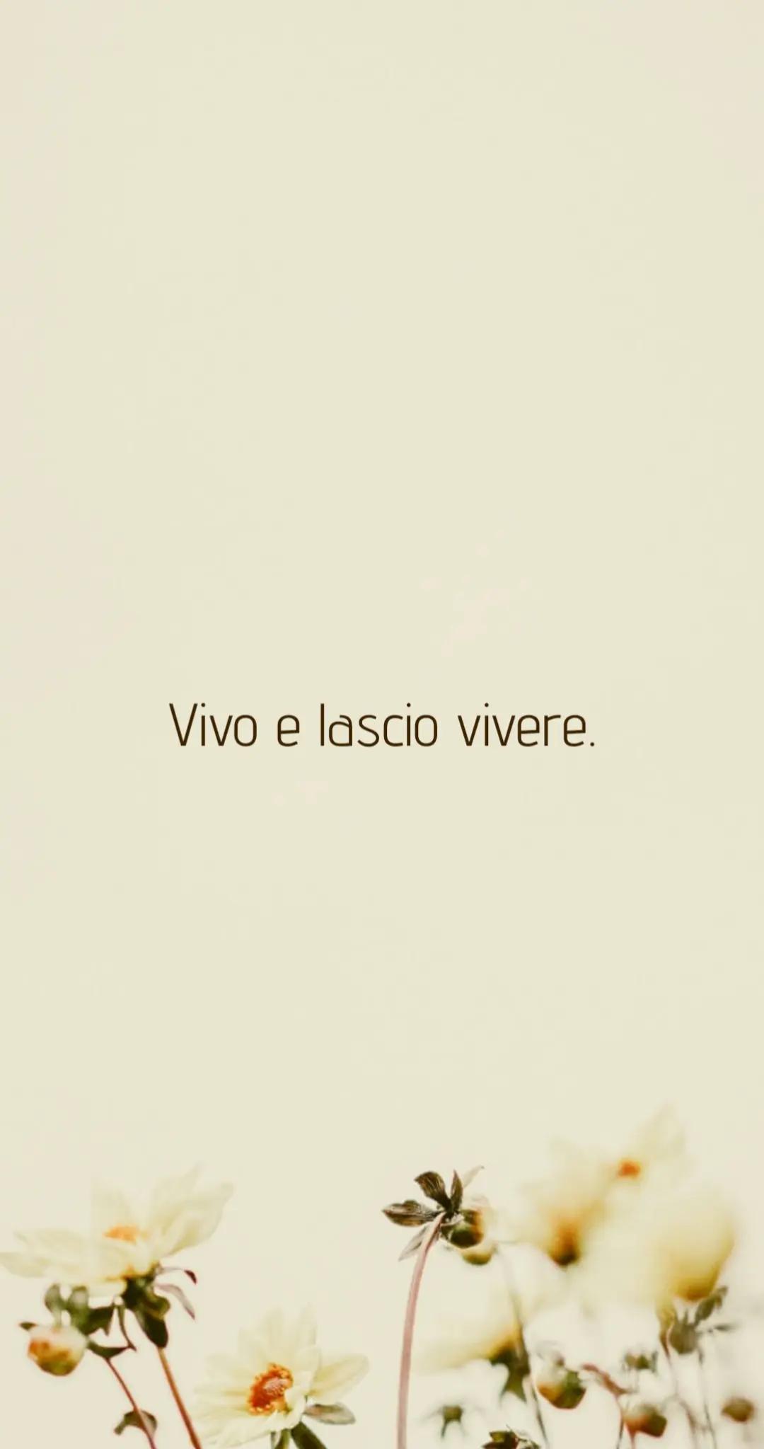 @moni 💫