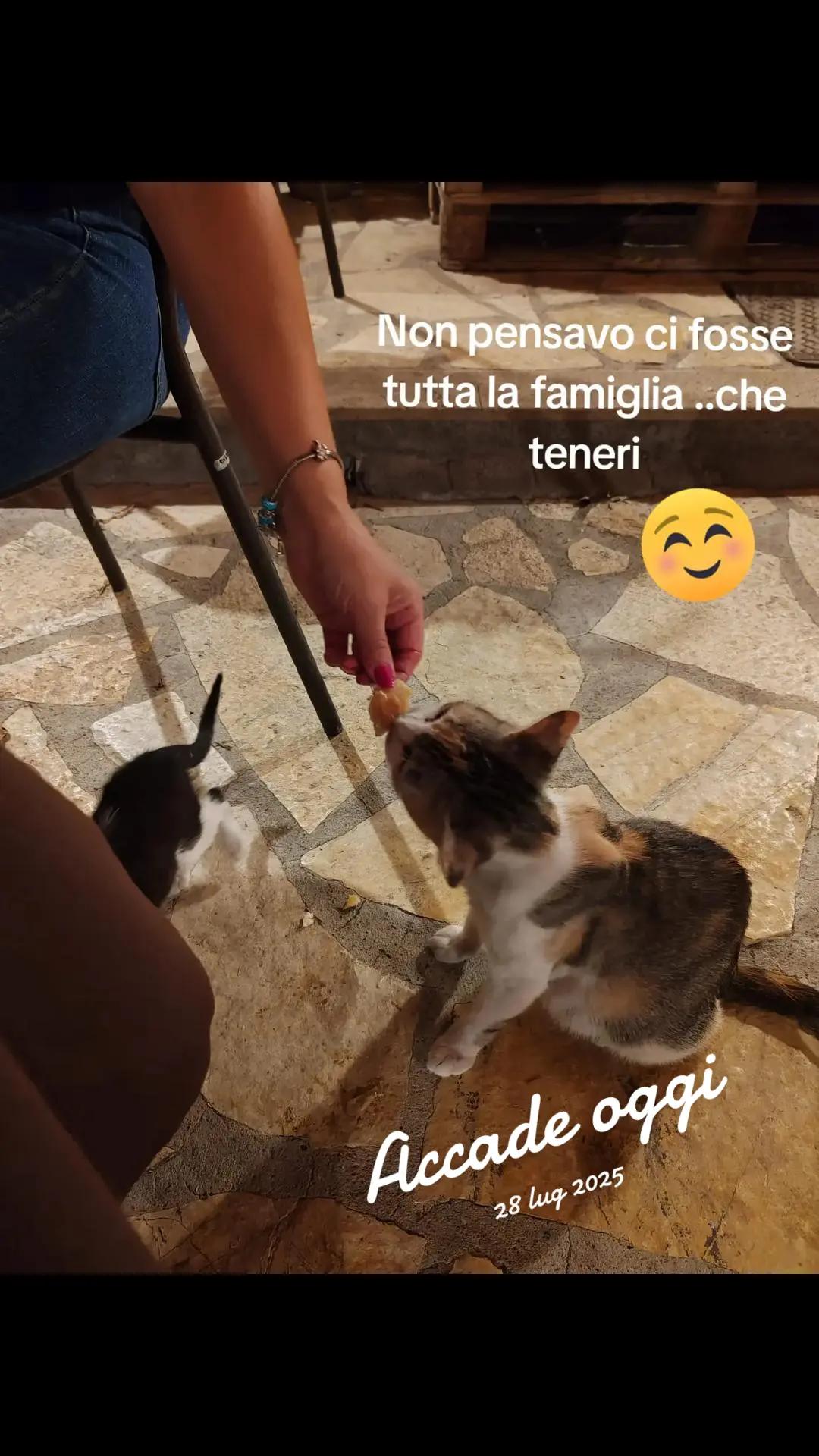 @Maria Giuffrida