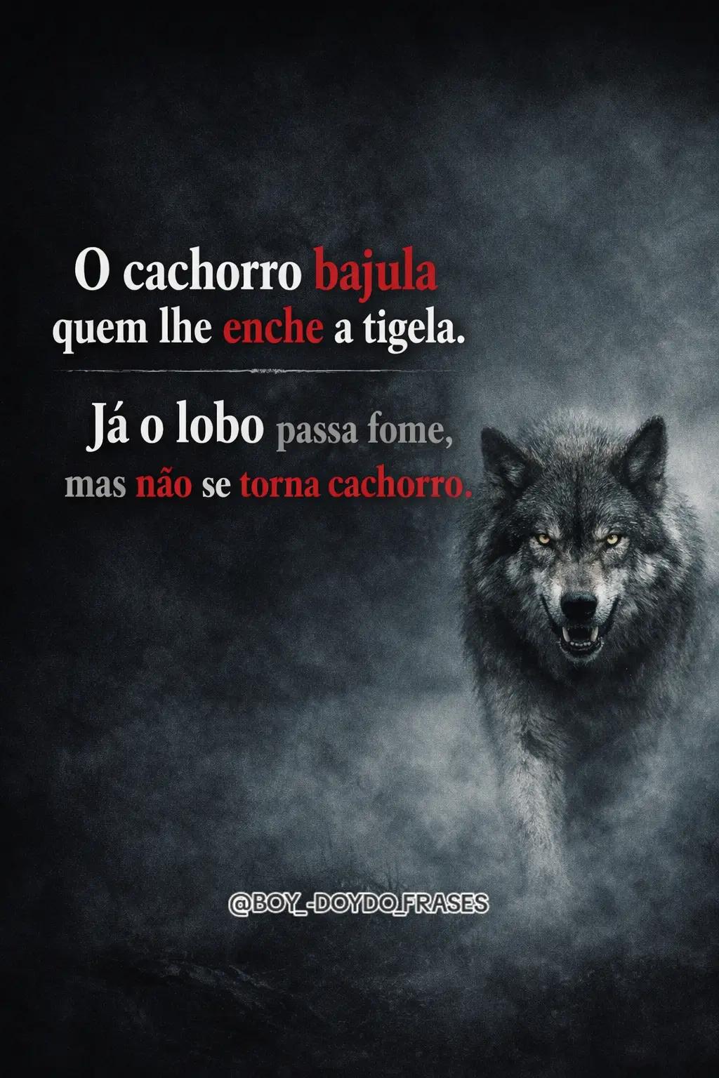 @BOY_-DOYDO_FRASES
